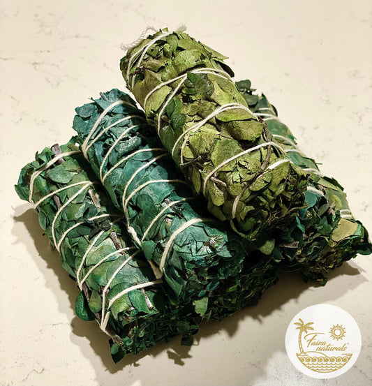 Eucalyptus Bundles