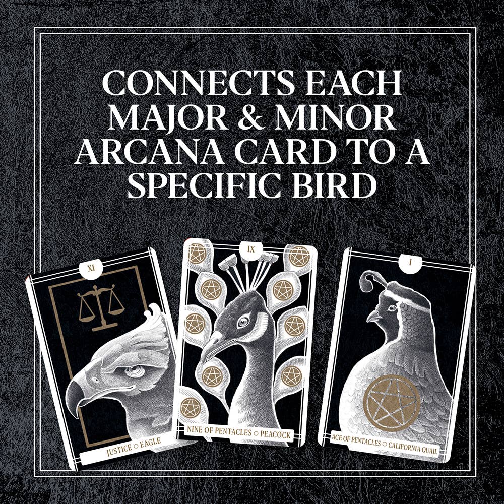 Avian Tarot By Brittany Lyn Batchelder