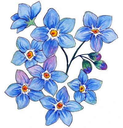 Soulflower Intention Setting Temporary Tattoos