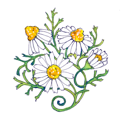 Soulflower Intention Setting Temporary Tattoos