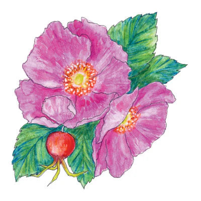 Soulflower Intention Setting Temporary Tattoos
