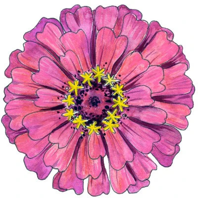 Soulflower Intention Setting Temporary Tattoos